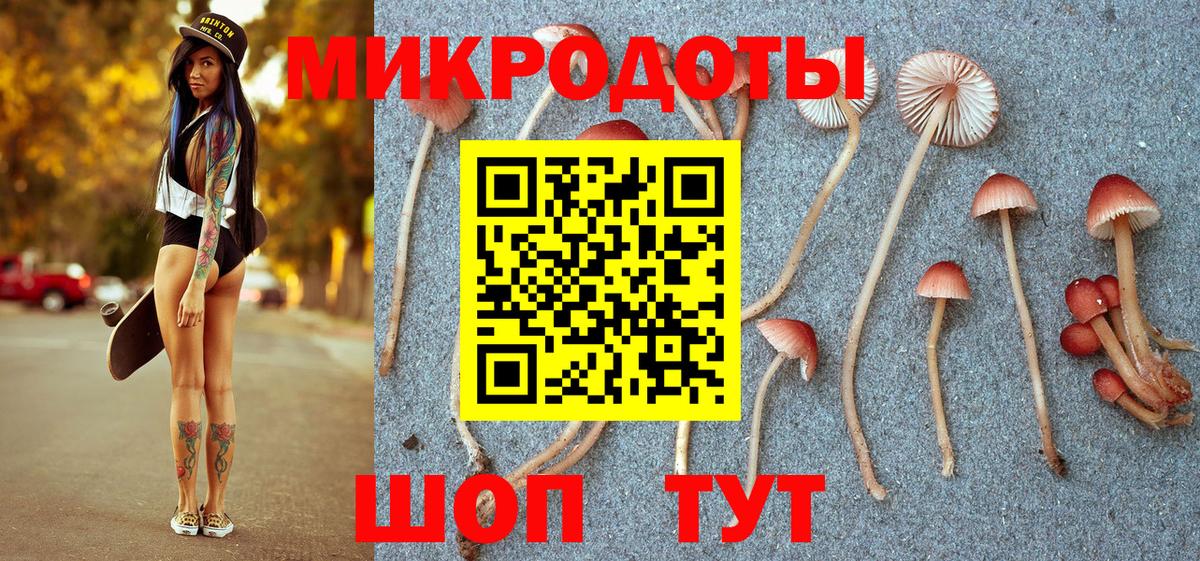 Кизилюрт  Галлюциногенные грибы прущие грибы  где можно купить наркотик  Вход с VPN 